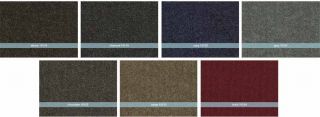 Shaw Contract Group 59411 10119 Bon Jour Carpet Tiles, 24 Inch by 24