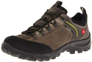 II Low GTX Hiking Shoe,Warm Grey/Moon Rock,40 EU/6 6.5 M US Shoes