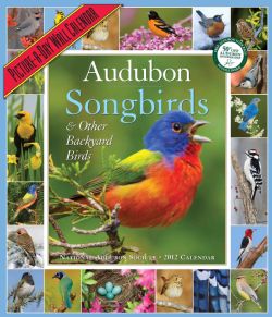 Audubon 365 Songbirds 2012 Calendar (Calendar)