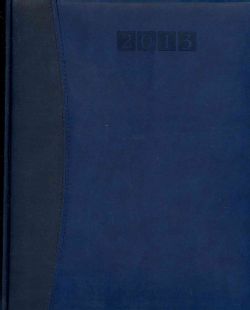 Capri Blue/Blue Executive Desk Diary 2013 (Paperback)