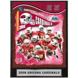 Arizona Cardinals 2008 9x12 Photo Plaque