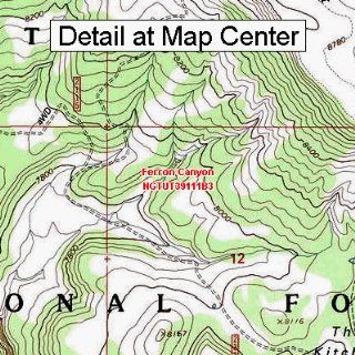 USGS Topographic Quadrangle Map   Ferron Canyon, Utah