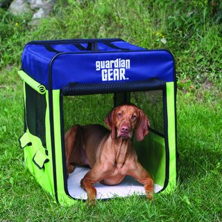 Guardian Gear Lime/ Blue Medium Collapsible Dog Crate