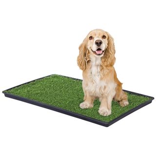 Prevue Pet Products Tinkle Turf for Medium Dog Breeds