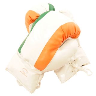 Defender 16 ounce White Boxing Gloves with Irish Flag Pattern