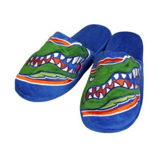 Florida Gators Big Logo Slippers