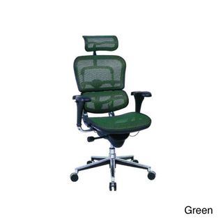 Eurotech Multifunction Mesh Chair with Headrest