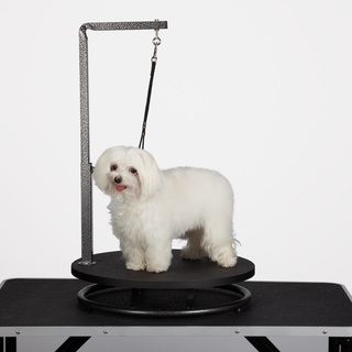 Master Equipment Small Pet Grooming Black Table