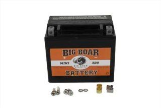 Big Boar 12 volt 300 Cold Cranking Amps Sealed Maintenance Free Mini