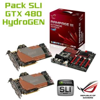 Pack SLI 2xMSI GTX480 HydroGen + Asus Rampage III   Achat / Vente PACK
