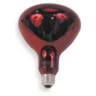 GE Lighting 250R40/10 Incand Reflector Heat Lamp, R40, 250W