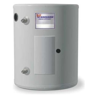 Vanguard 1PZ81 Water Heater, Residential, 6 Gal, 120 Volt