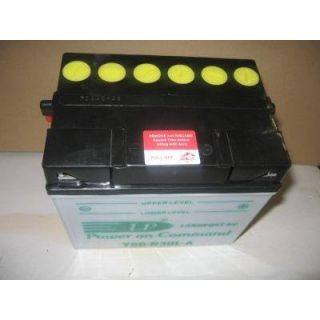 Batterie 12 V 30 Ah pour RT PG 5000 DD Einhell   Batterie de démarage