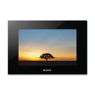 Sony DPF XR100 Digital Photo Frame