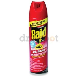 Diversey 94400 Raid Ant & Roach Killer