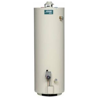 Reliance Water Heater CO 6 30 GORT 30GAL NATGAS Water Heater