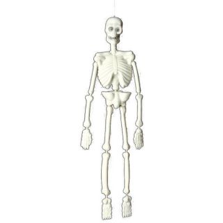 Squelette Articulé 3D (153cm)   Squelette de type humain articulé en