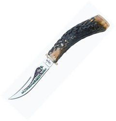 Case Pheasant Design Fixed Blade With Stag Handle Surgical