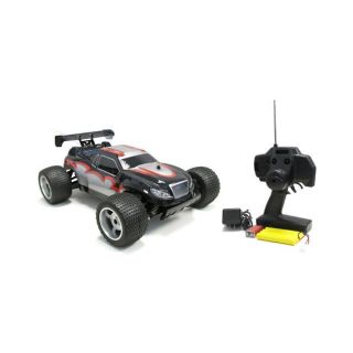 Wild Wolf Off Road 110 Electric RTR RC Buggy