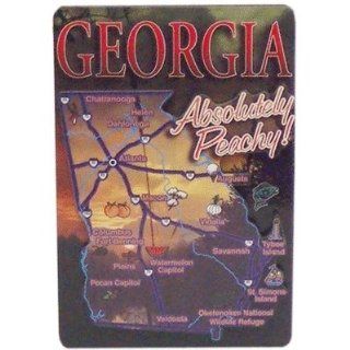 381235   Georgia Magnet 3D Map Case Pack 96 Sports