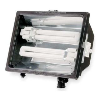 Lithonia F213L 120 Floodlight, General