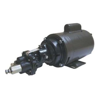 Dayton 4KHE6 Rotary Gear Pump, Cast Iron, 1 1/2 HP, 1 Ph