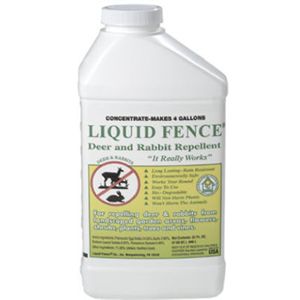 Liquid Fence Co Inc 00110 QT Conc Deer Repellent