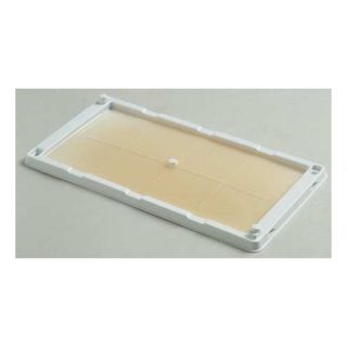 Catchmaster 48WRG Mouse, Glue Trap, PK 2