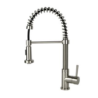 Residential Coil Spring Brushed Nickel Faucet