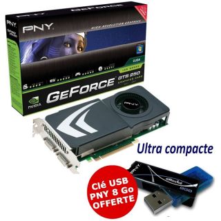 PNY Nvidia GeForce GTS 250 1024 Mo + Clé PNY USB 8   Achat / Vente